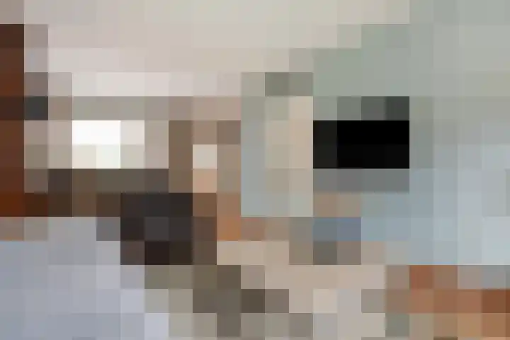 Angeroyen 6 Loo Gld thumbnail 13