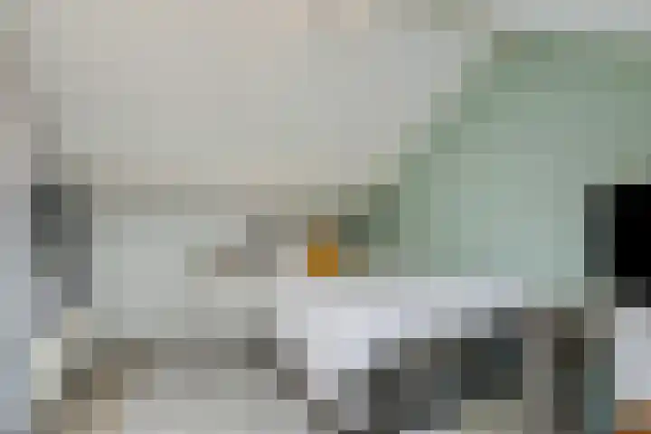 Angeroyen 6 Loo Gld thumbnail 37