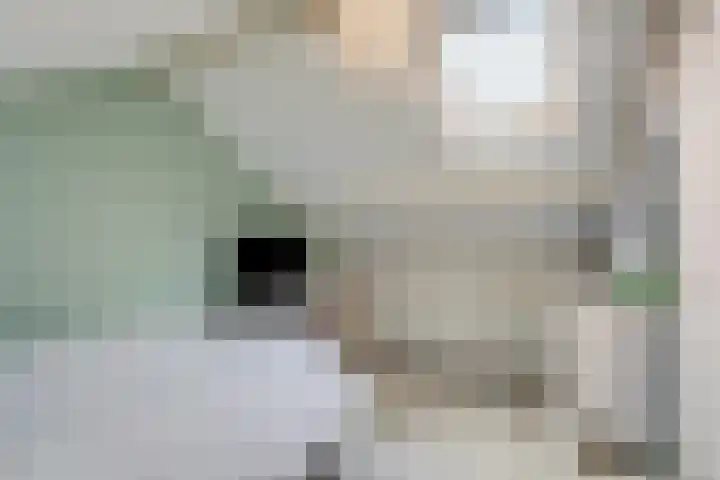Angeroyen 6 Loo Gld thumbnail 38