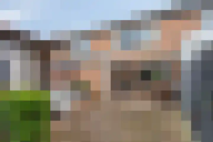 Angeroyen 6 Loo Gld thumbnail 43