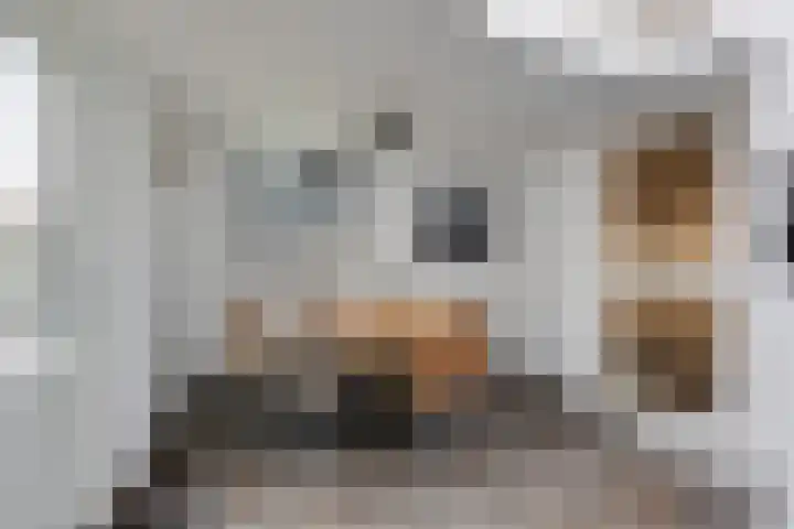Angeroyen 7 Loo Gld thumbnail 25