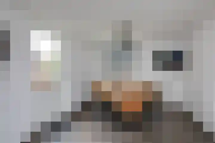 Angeroyen 7 Loo Gld thumbnail 26
