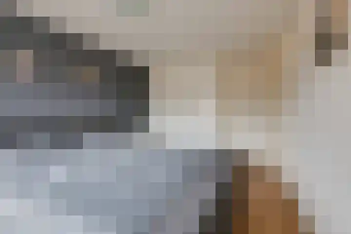 Angeroyen 7 Loo Gld thumbnail 31