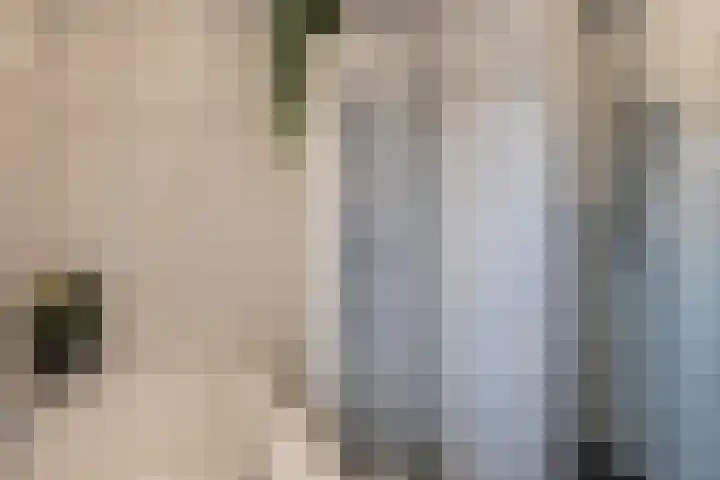 Angeroyen 7 Loo Gld thumbnail 39