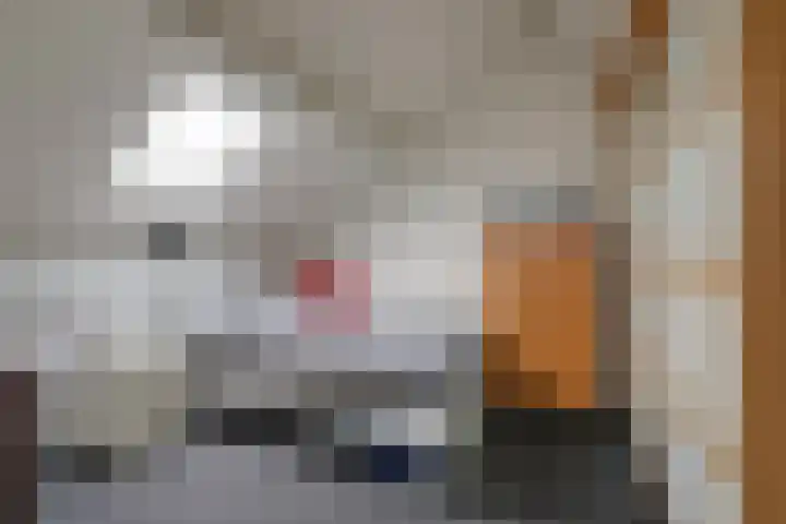 Angeroyen 7 Loo Gld thumbnail 46