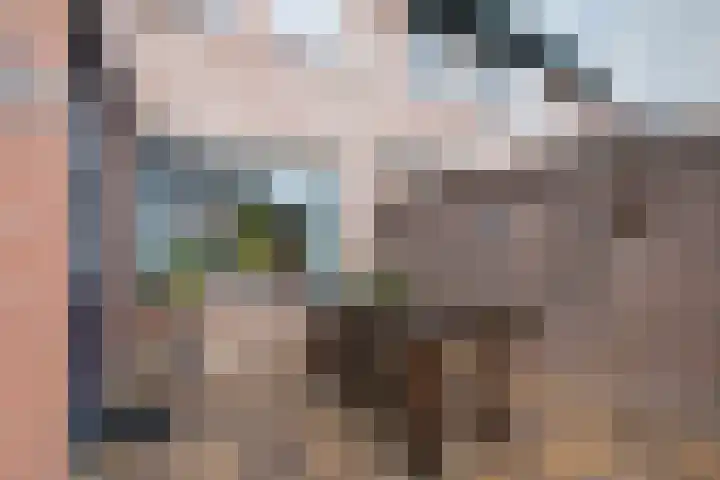 Angeroyen 7 Loo Gld thumbnail 49