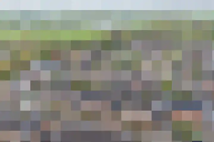 Angeroyen 7 Loo Gld thumbnail 5