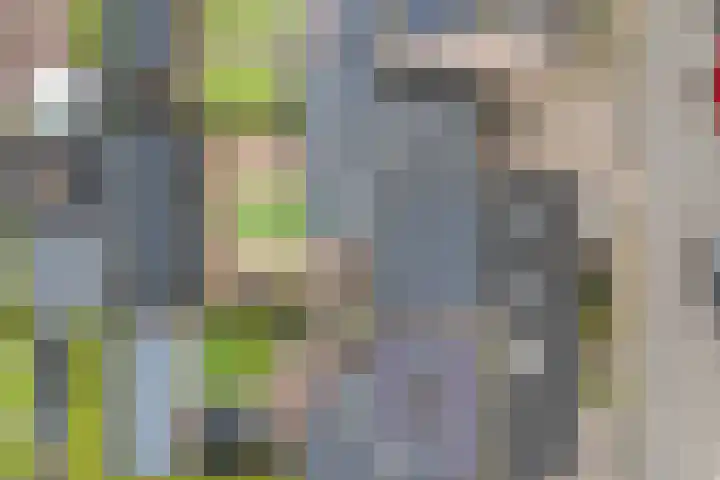 Angeroyen 7 Loo Gld thumbnail 56
