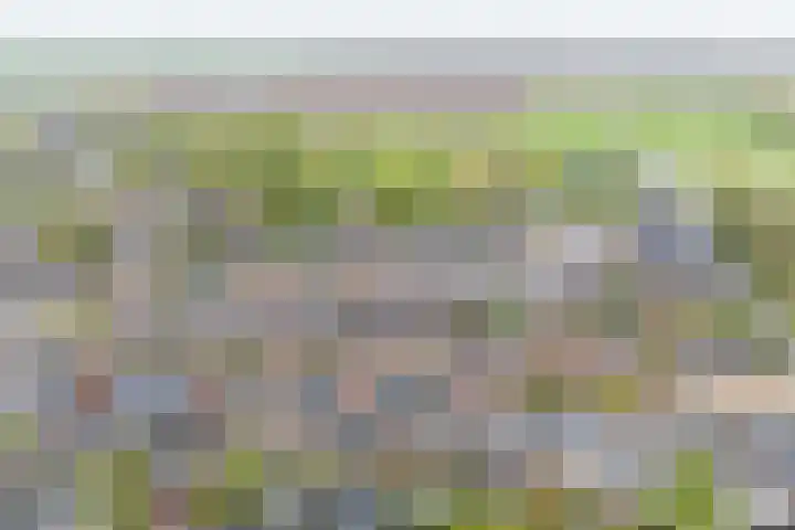 Angeroyen 7 Loo Gld thumbnail 60