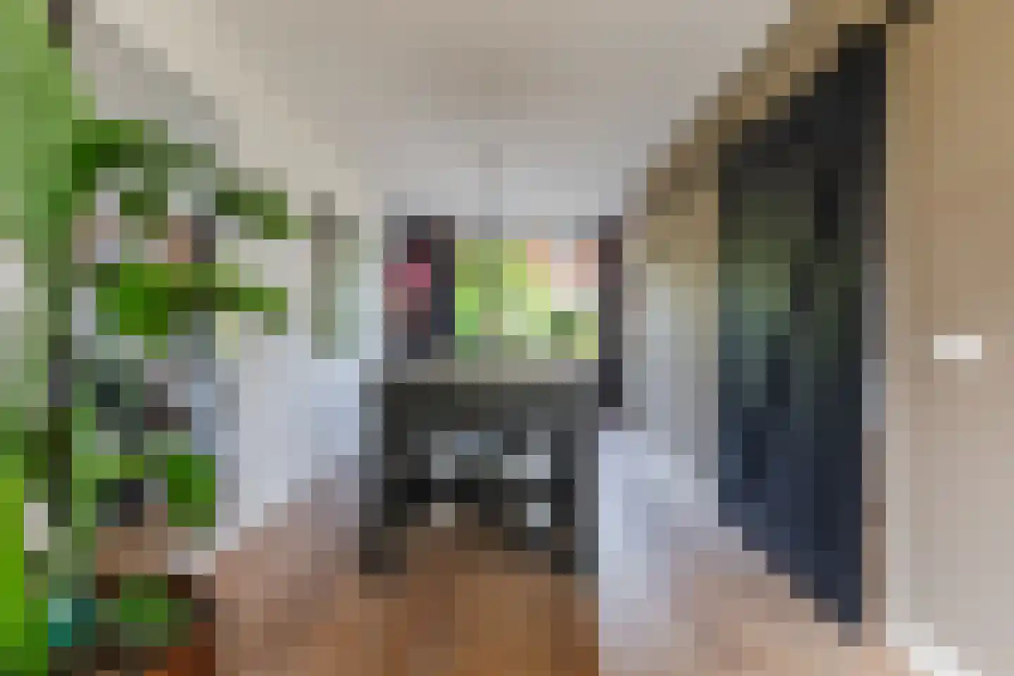 Angerslaan 10 Eindhoven thumbnail 10