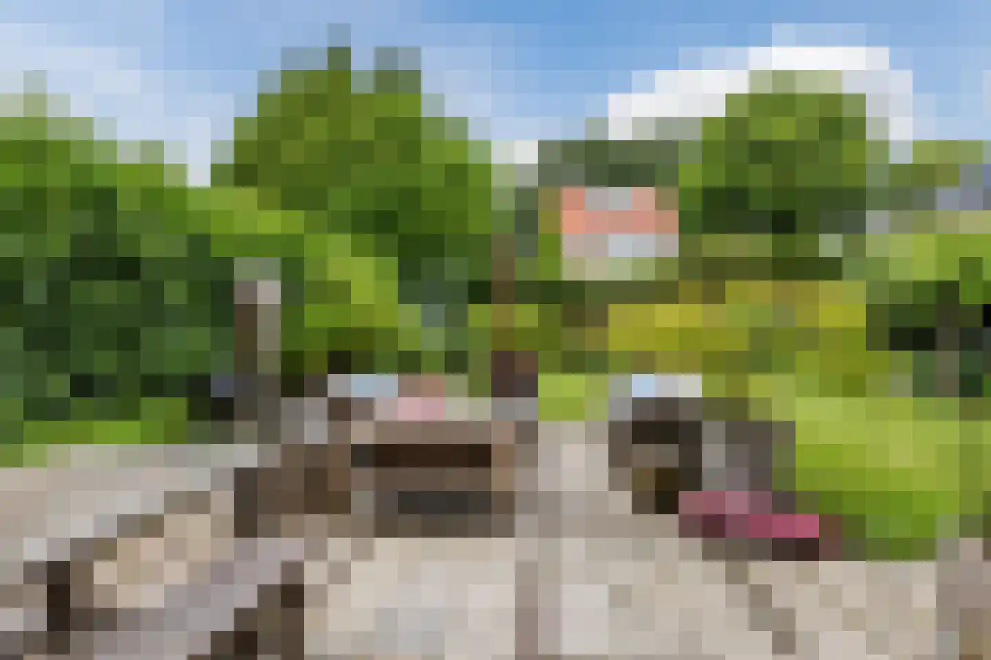Angerslaan 10 Eindhoven thumbnail 17