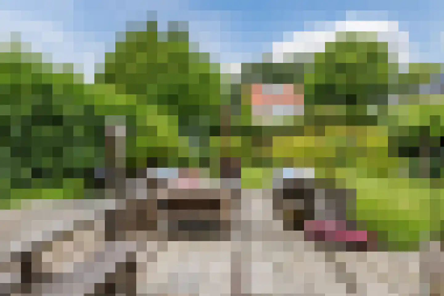 Angerslaan 10 Eindhoven thumbnail 18