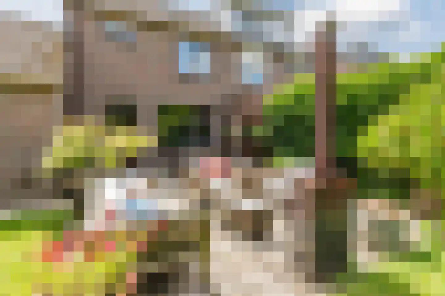 Angerslaan 10 Eindhoven thumbnail 21