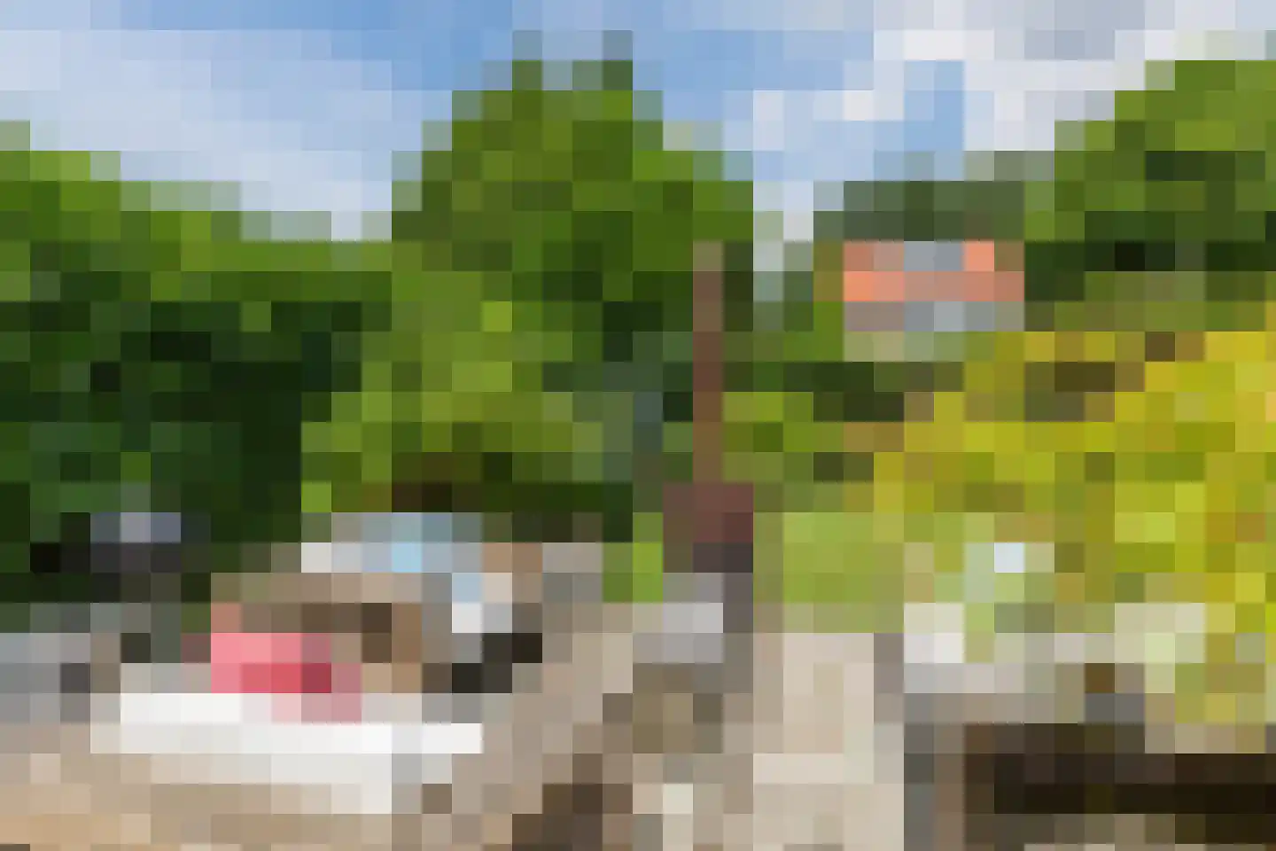 Angerslaan 10 Eindhoven thumbnail 22