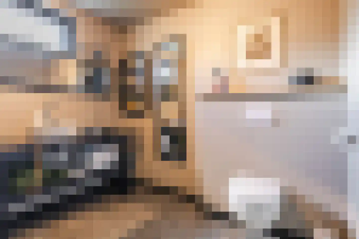 Angerslaan 10 Eindhoven thumbnail 30