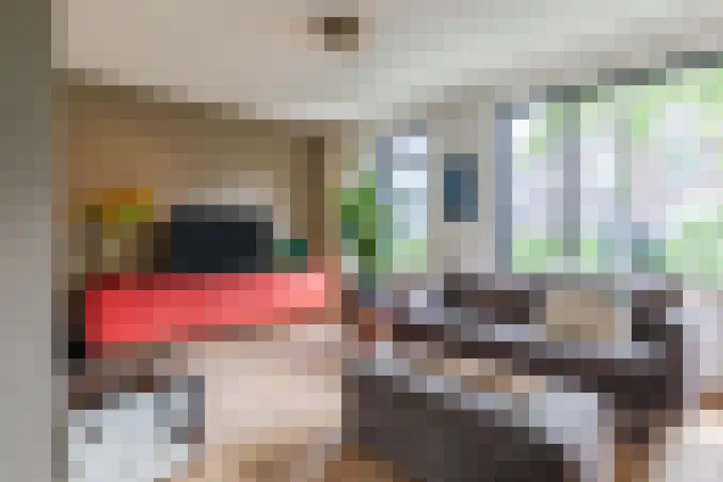 Angerslaan 10 Eindhoven thumbnail 7