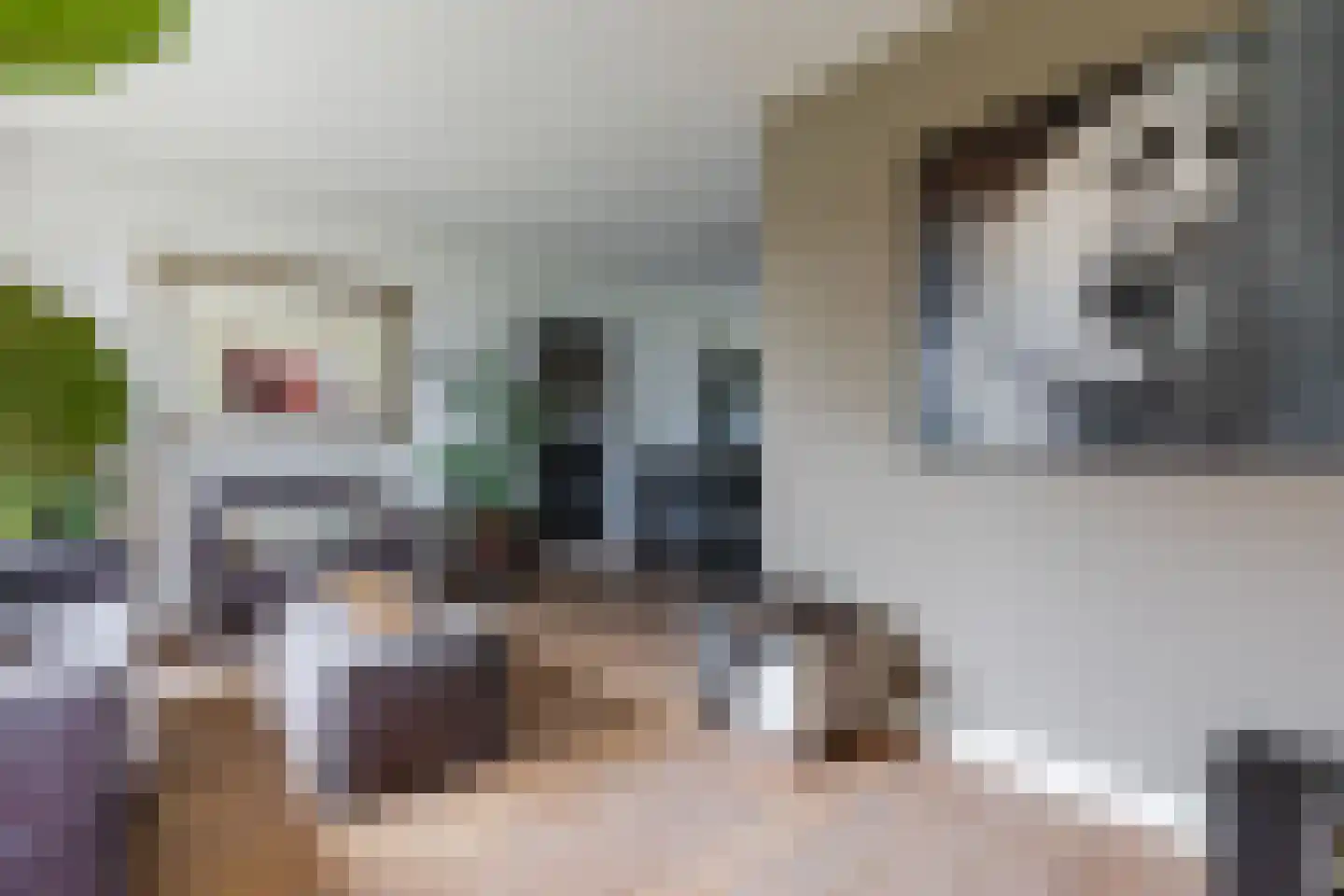 Angerslaan 10 Eindhoven thumbnail 9