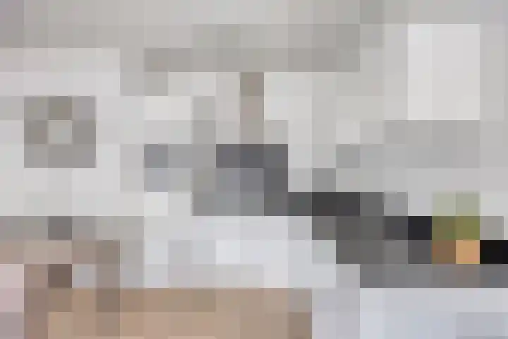 Angoulèmehof 12 Eindhoven thumbnail 16