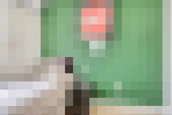 Angoulèmehof 12 Eindhoven thumbnail 22