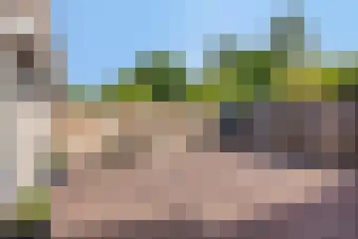 Angoulèmehof 12 Eindhoven thumbnail 23