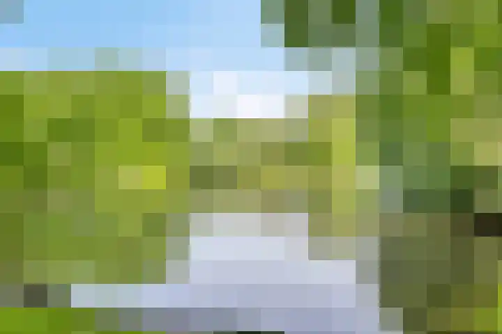 Angoulèmehof 12 Eindhoven thumbnail 27