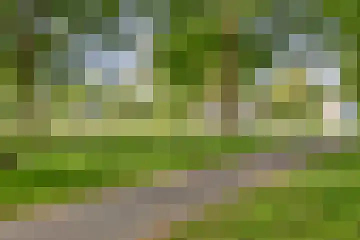 Angoulèmehof 12 Eindhoven thumbnail 28