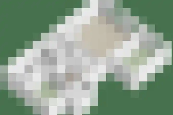 Angoulèmehof 12 Eindhoven thumbnail 29