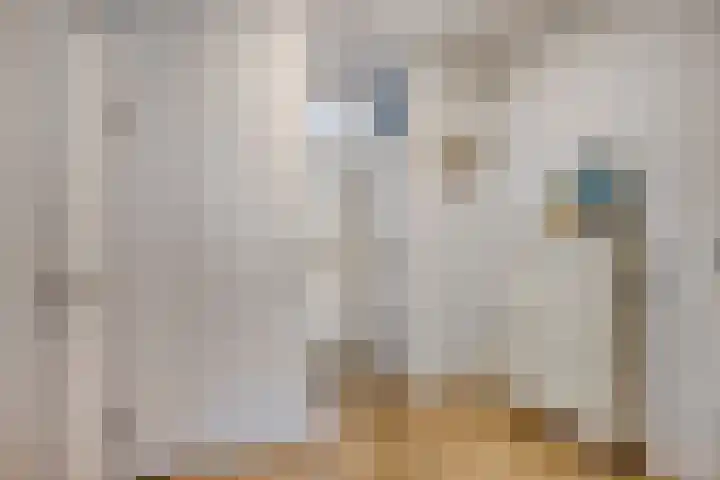 Angoulèmehof 12 Eindhoven thumbnail 8