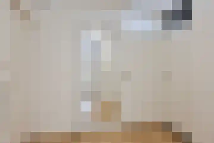 Angoulèmehof 12 Eindhoven thumbnail 9