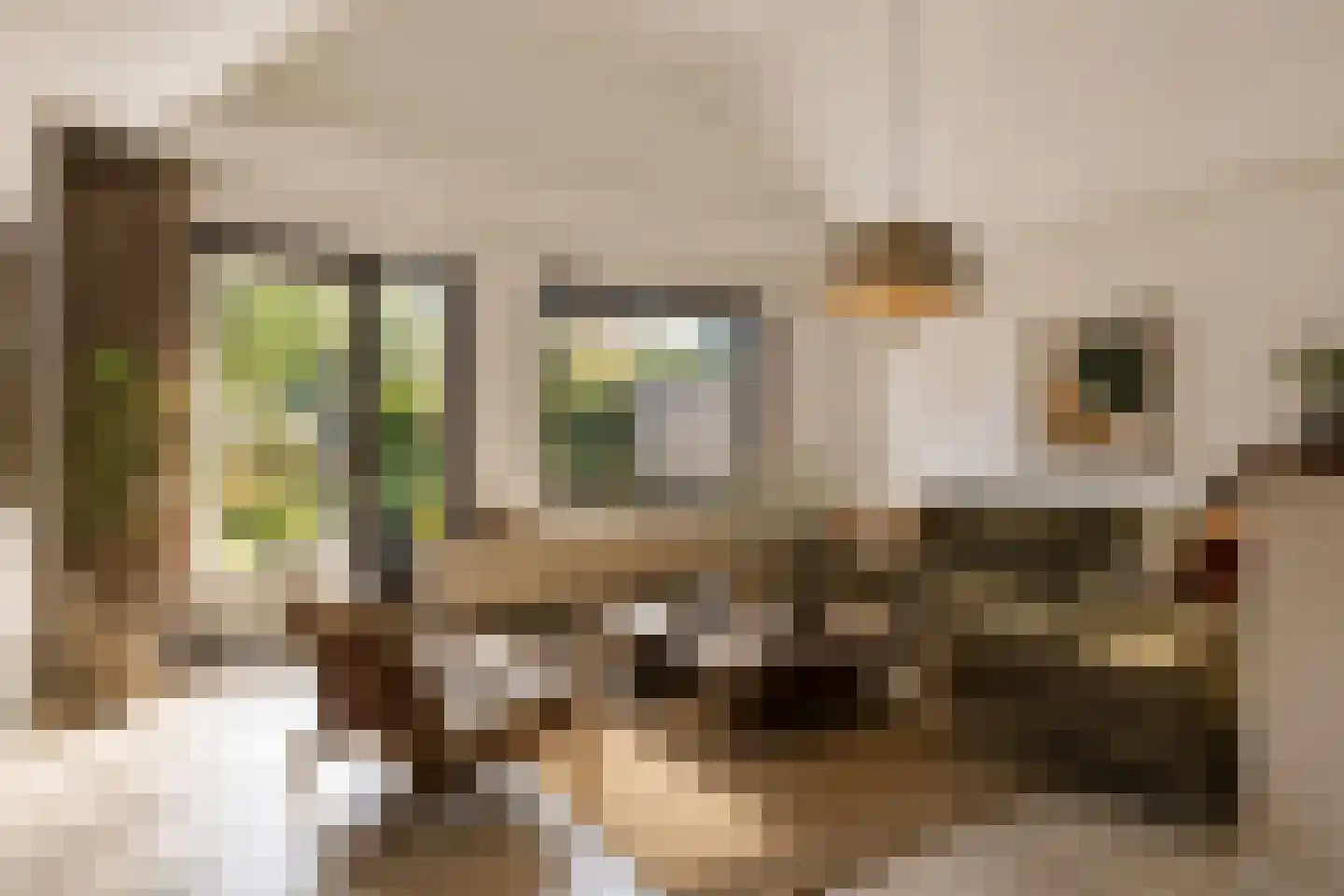 Angoulèmehof 13 Eindhoven thumbnail 10