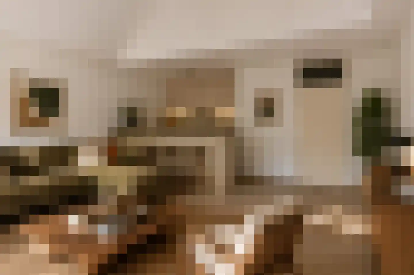 Angoulèmehof 13 Eindhoven thumbnail 14