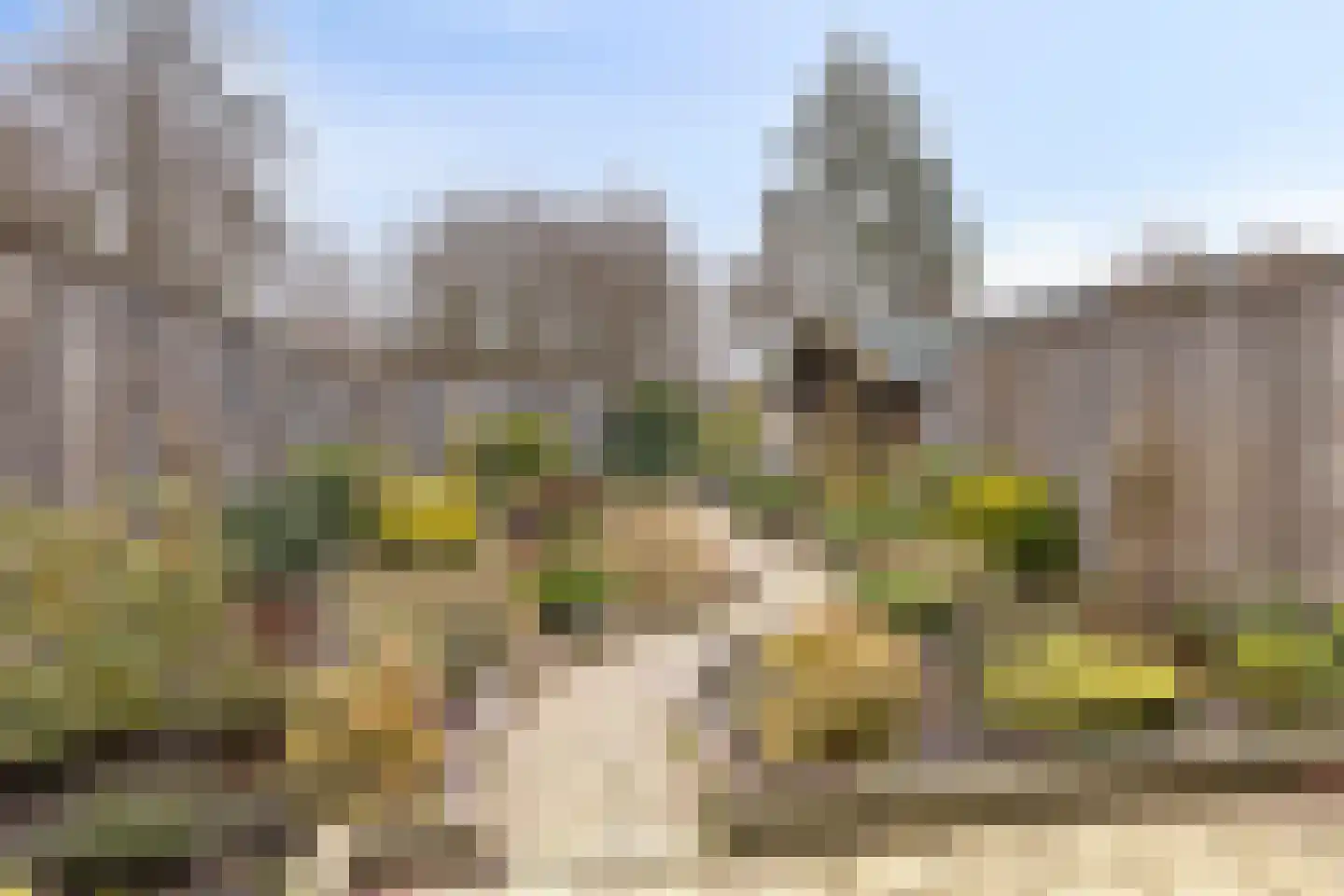Angoulèmehof 13 Eindhoven thumbnail 19