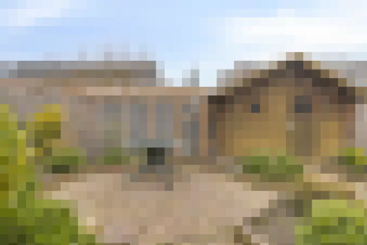 Angoulèmehof 13 Eindhoven thumbnail 20