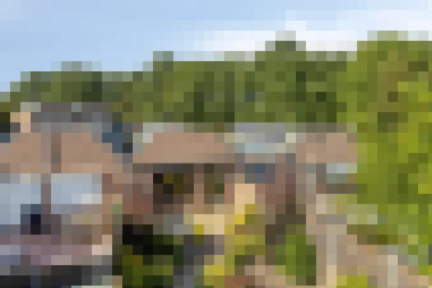 Angoulèmehof 13 Eindhoven thumbnail 27