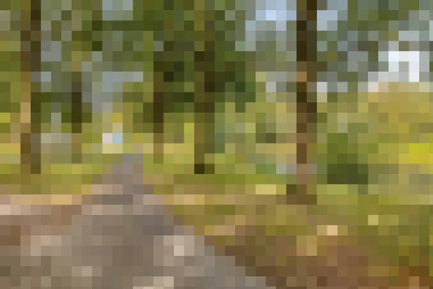 Angoulèmehof 13 Eindhoven thumbnail 36