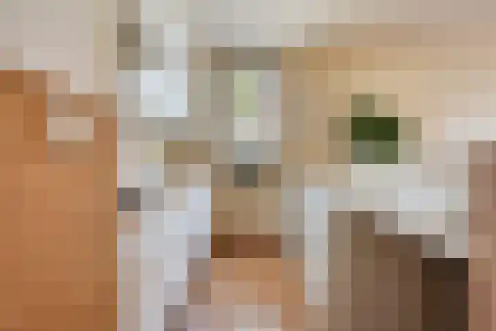 Angoulèmehof 22 Eindhoven thumbnail 16