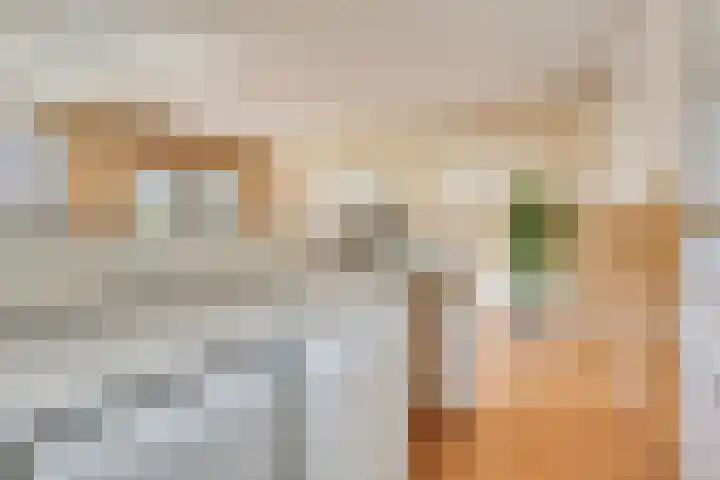 Angoulèmehof 22 Eindhoven thumbnail 18