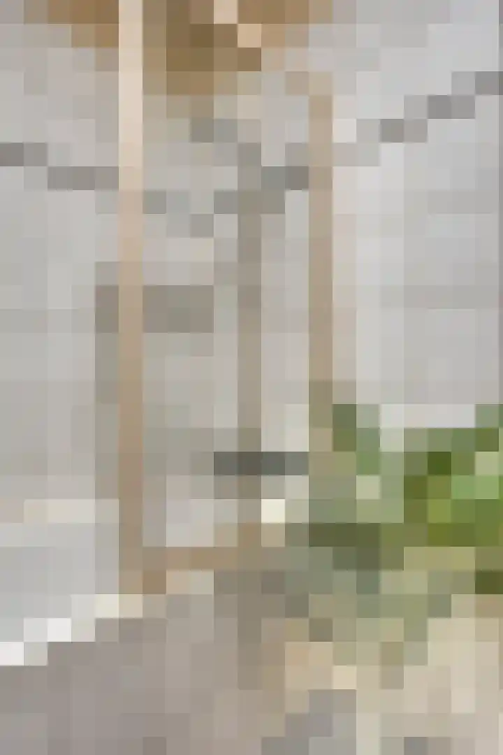 Angoulèmehof 22 Eindhoven thumbnail 29