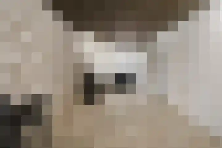 Angoulèmehof 22 Eindhoven thumbnail 32
