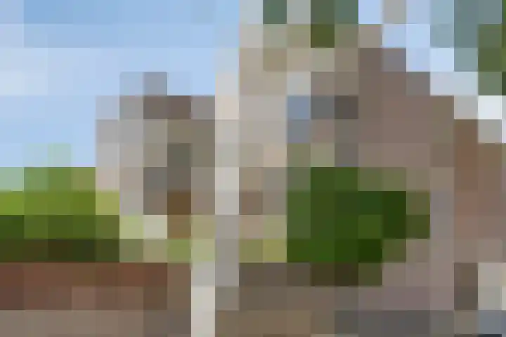 Angoulèmehof 22 Eindhoven thumbnail 6
