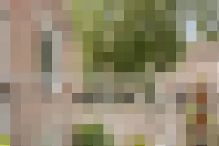Angoulèmehof 24 Eindhoven thumbnail 17