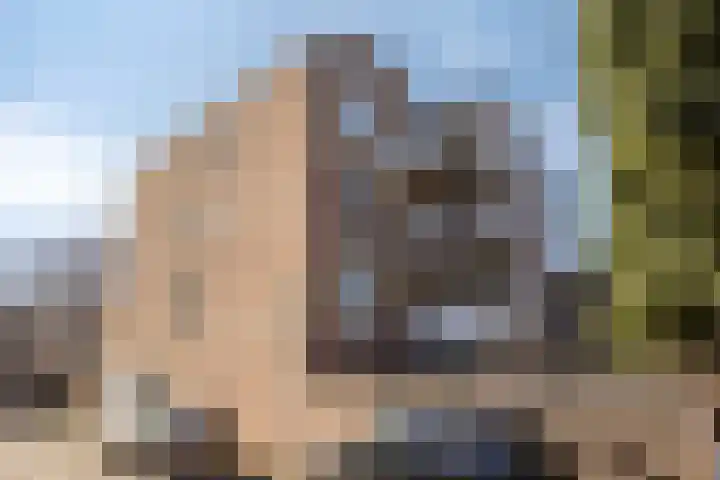 Angoulèmehof 3 Eindhoven thumbnail 34