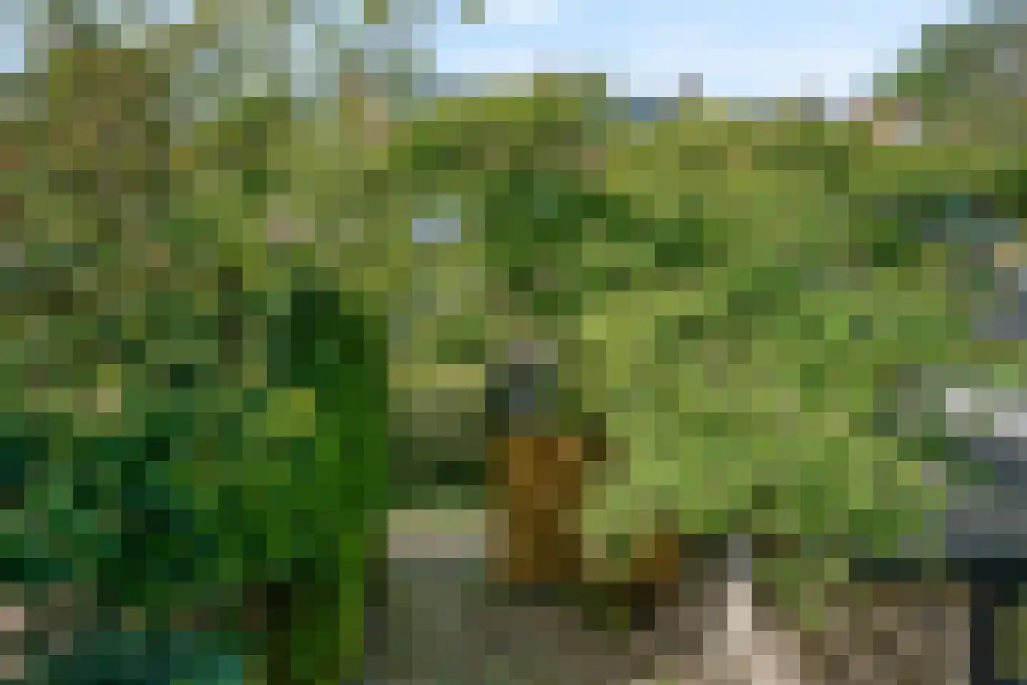 Angsteloord 23 Abcoude thumbnail 22