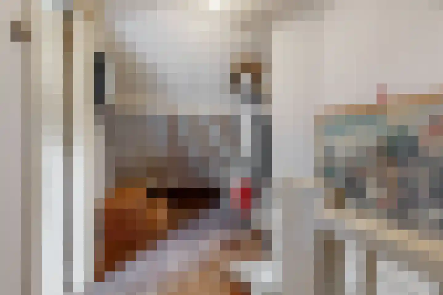 Angsteloord 23 Abcoude thumbnail 25
