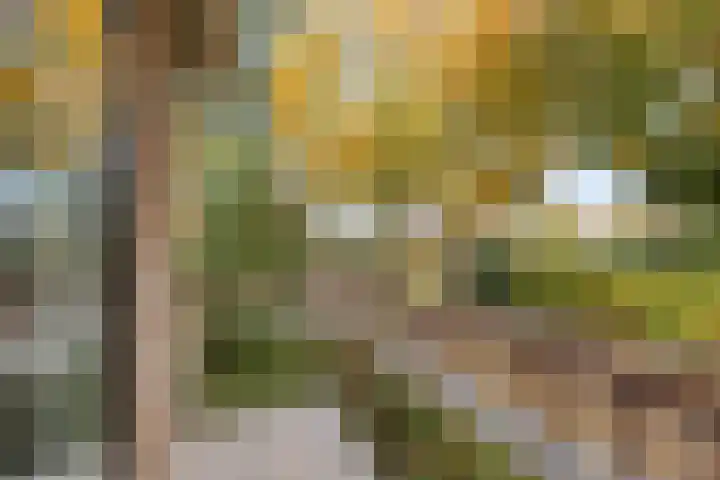 Angsteloord 36 Abcoude thumbnail 26