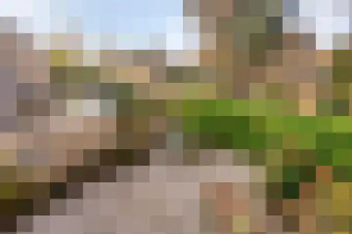 Angsteloord 36 Abcoude thumbnail 40
