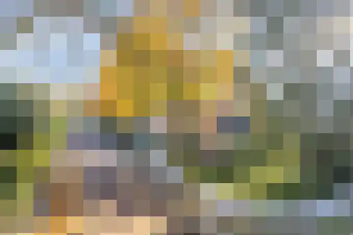 Angsteloord 36 Abcoude thumbnail 43