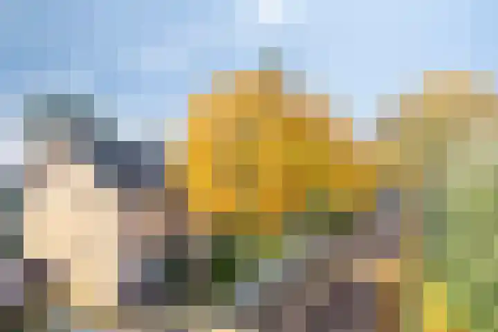 Angsteloord 36 Abcoude thumbnail 44