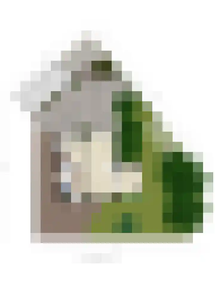 Angsteloord 36 Abcoude thumbnail 51