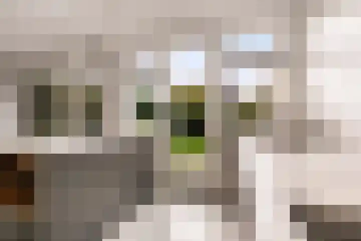 Angsteloord 48 Abcoude thumbnail 14